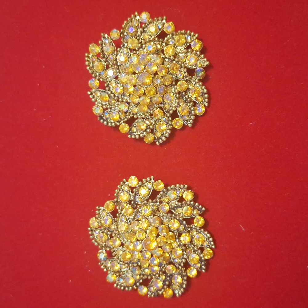2 Identical Brooches